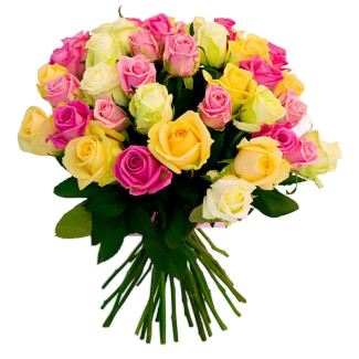 25 colorful roses